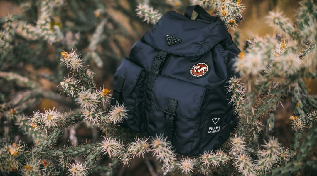 nowre文章在哪看,nowre编辑