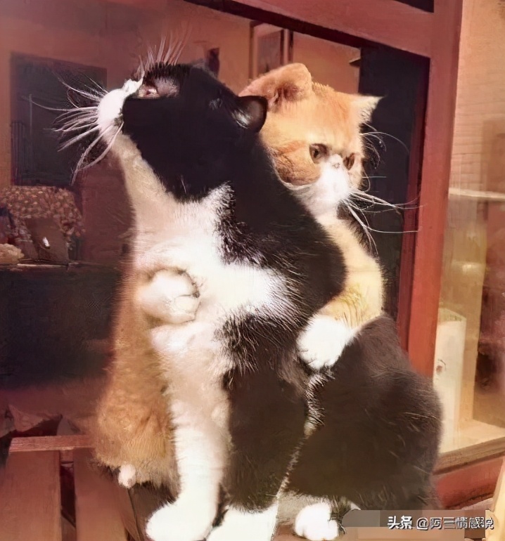 女朋友一点都不粘人什么情况,女朋友一点都不粘我怎么回事