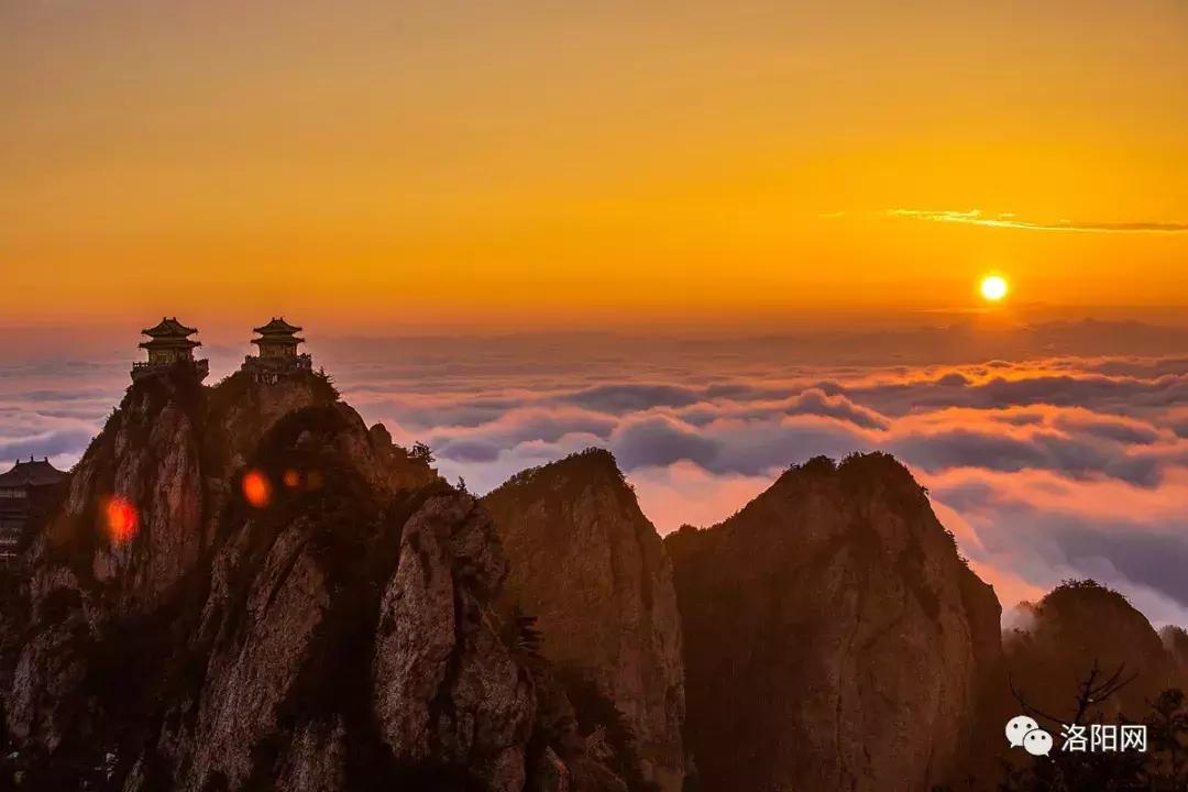 洛阳牡丹花会邀请,洛阳邀请全世界人民看牡丹