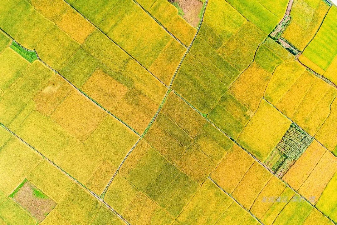 带你领略岭南的特色美景,真实的岭南风景