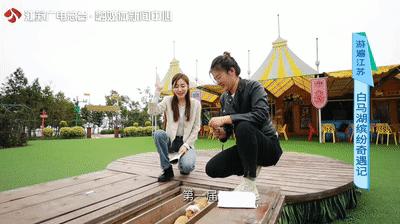 中国世界美食之都,中国世界美食之都排名