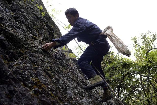 张家界武陵源小镇有啥美食,带你吃遍张家界所有美食