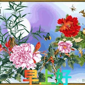 11月快乐我把祝福送给你高清图片,我把祝福送给你动态简谱