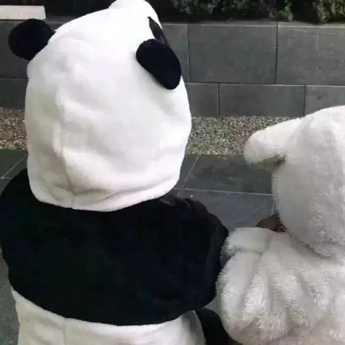 2022热门情头,今日头条上面的抓娃娃