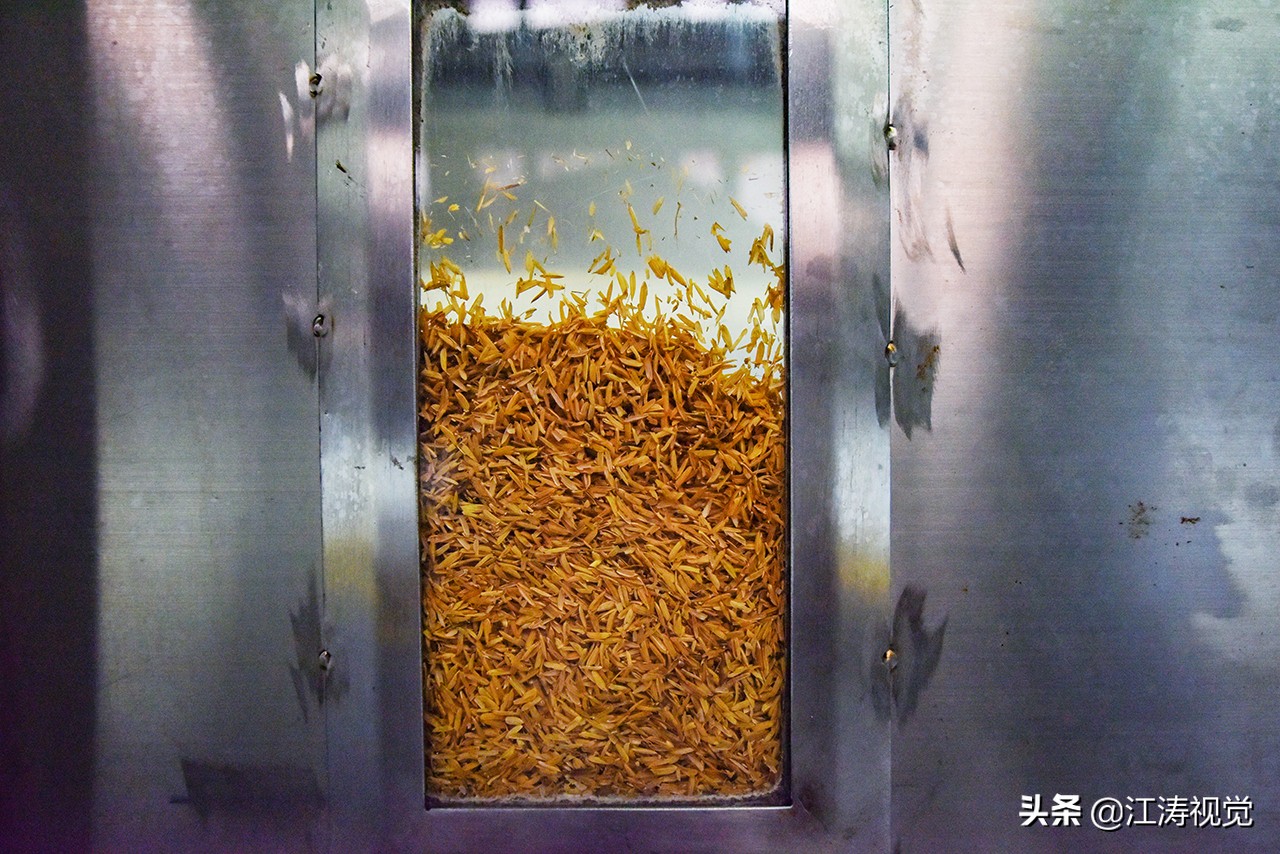 走进劲牌一场触及酒魂的健康文化,劲牌酒文化