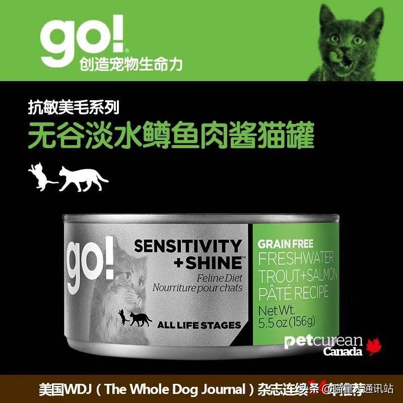 花销盘点｜养一只猫一年花的钱够买30根口红