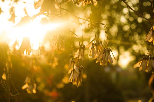 为什么一晒就黑有的人就晒不黑,为什么有些人一晒就黑