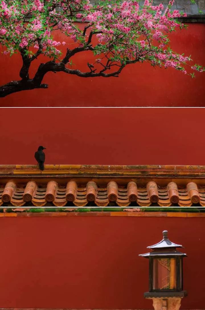 讲述关于北京故宫的故事,故宫六百年讲什么