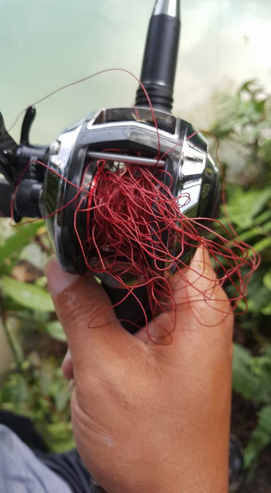 铁血战士打黑武士,铁血战士打特种兵