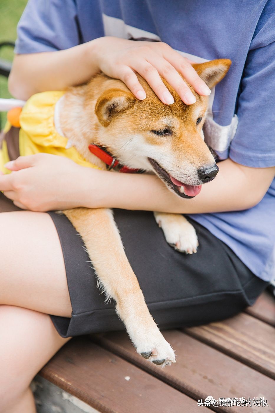 高考择校tips,高考择校指导985211