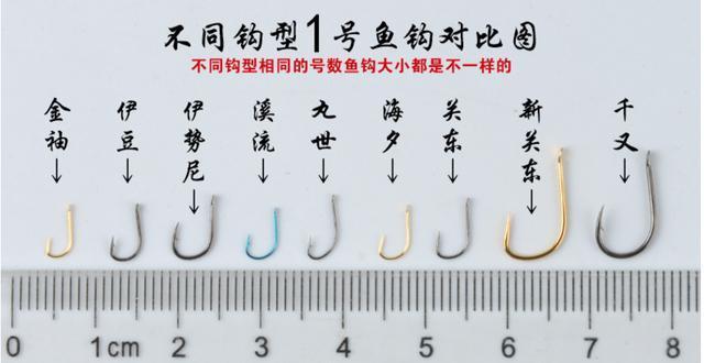 钓鱼新手来学习,钓鱼大师新手入门指南