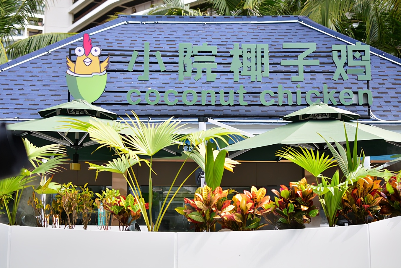 来三亚必吃的海南菜,三亚旅游在哪里吃海南菜