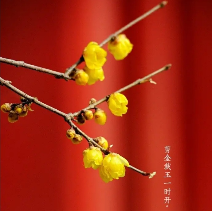 中国诗歌周刊第268期总结,中国诗歌周刊第87期