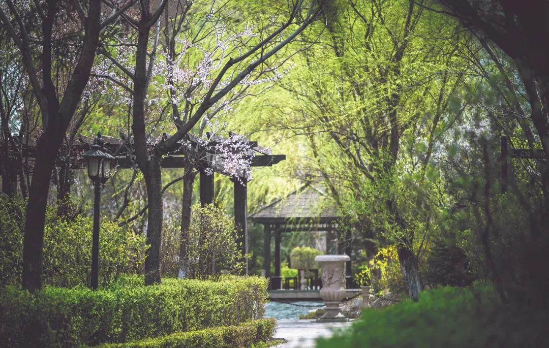 九洲楼盘质量如何,九洲房地产评估