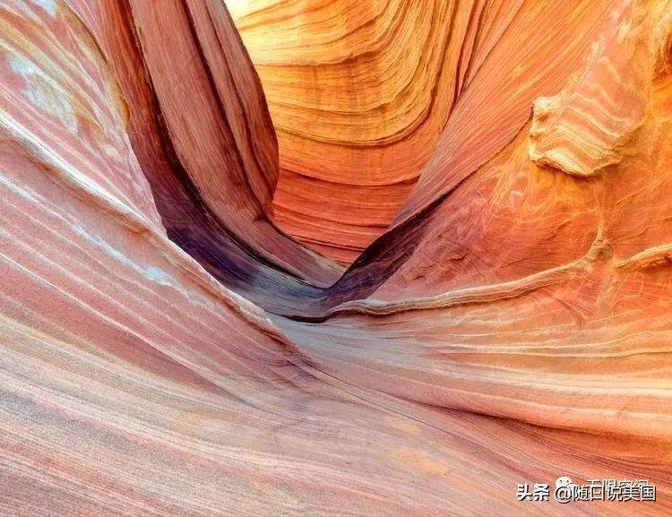 荒野乱斗流彩伊芙强度,荒野行动榴弹怎么用
