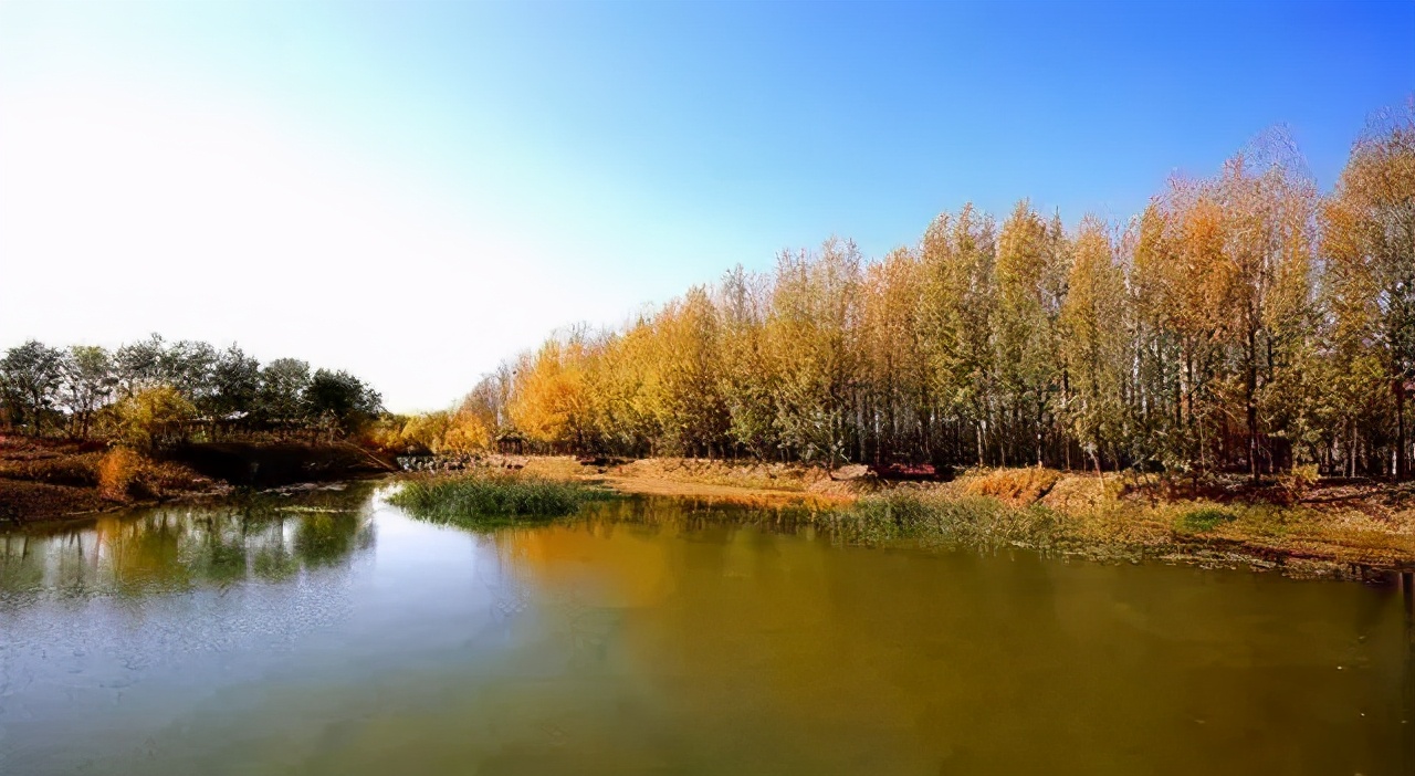 《复兴你好》第二十一期