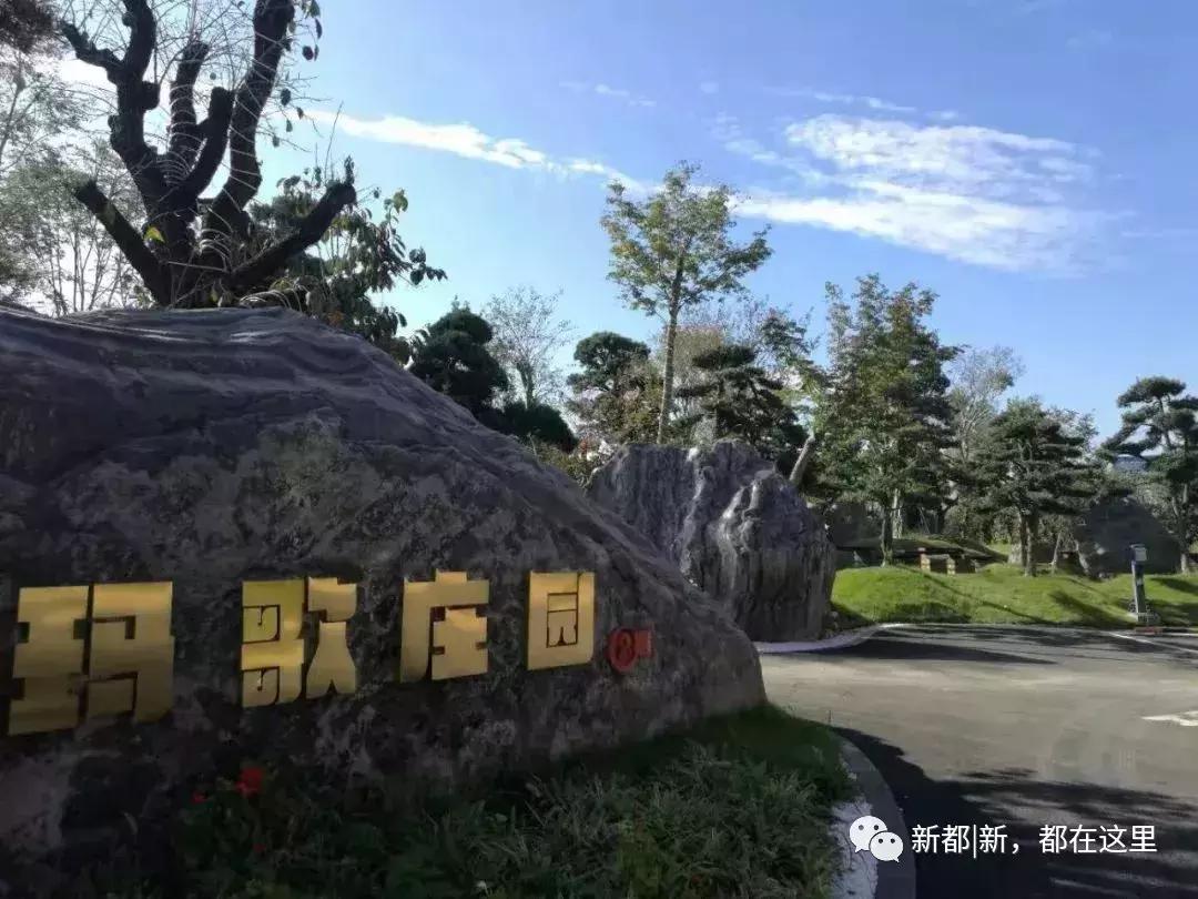 别样馫味！新都天府沸腾小镇，麻辣盛宴等你打卡