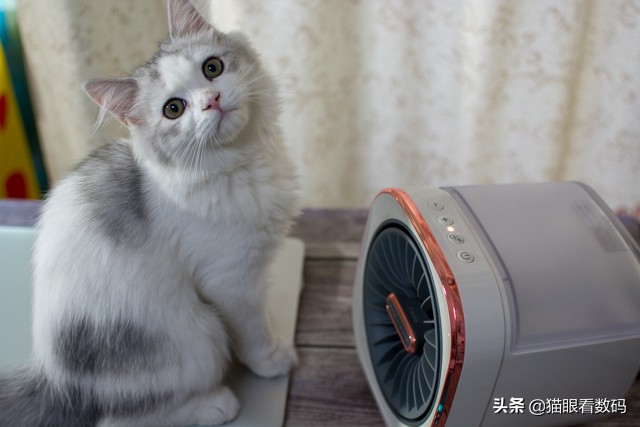 冬天用暖风机取暖好吗,南方取暖全靠抖