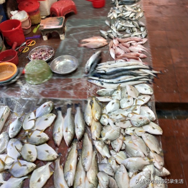 一到菜市场就不知道买什么菜好,逛菜市场有哪些菜值得买