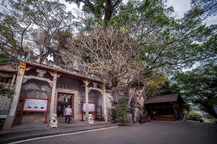 星湖冬日燃情，比落羽杉还要红的是什么？#我和湿地有个约会#