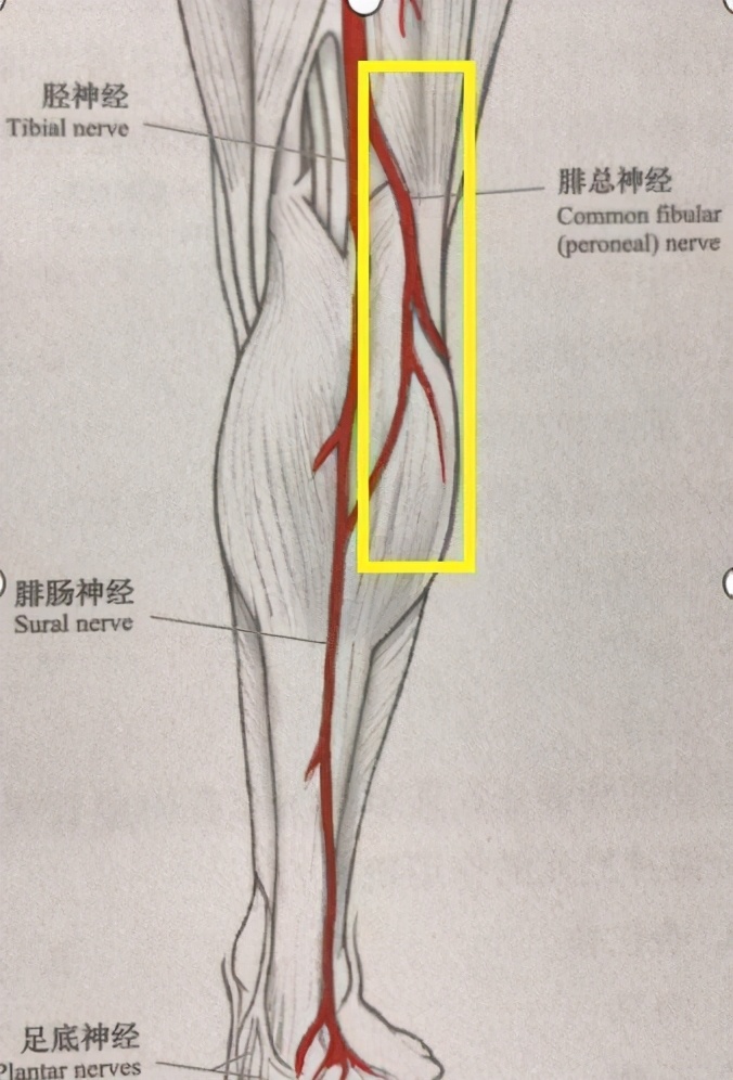 做了痔疮手术肿一直消不下去,痔疮手术后腿动不了是什么原因