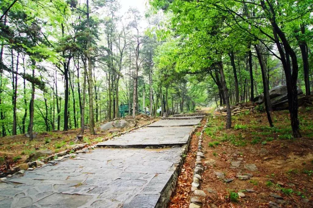 六月份适合山东自驾游的地方,六月山东省旅游推荐