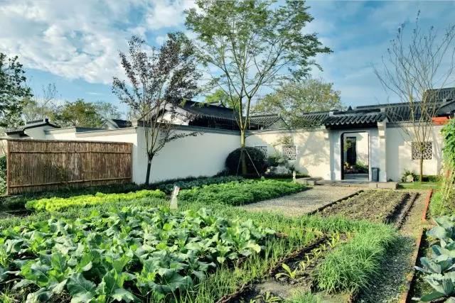 成都多利农庄,成都多利农庄采摘体验园怎么样