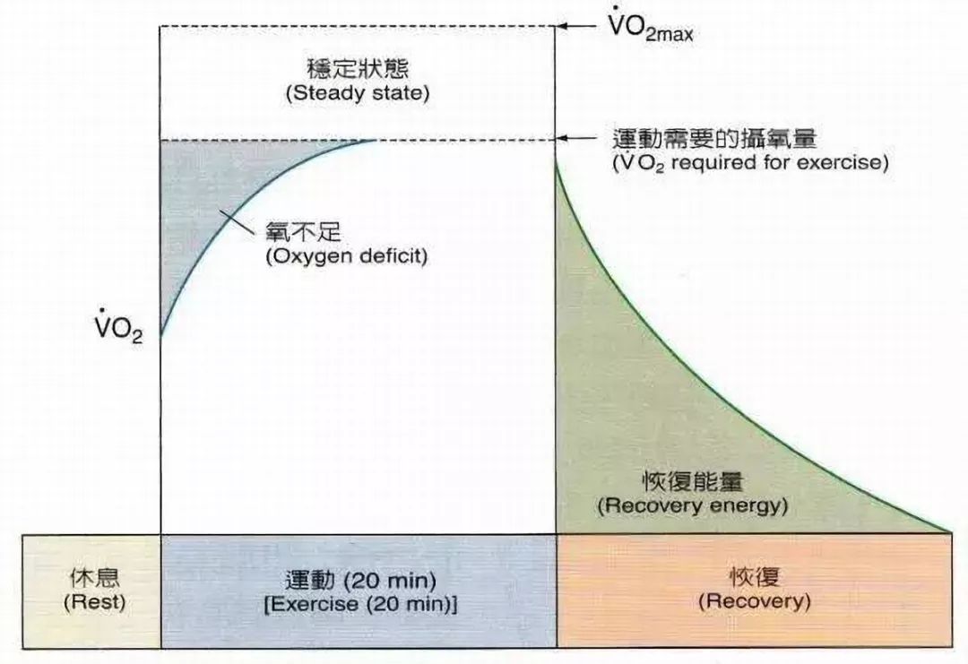 骑动感单车多久能达到减肥效果,骑动感单车减肥效果好吗