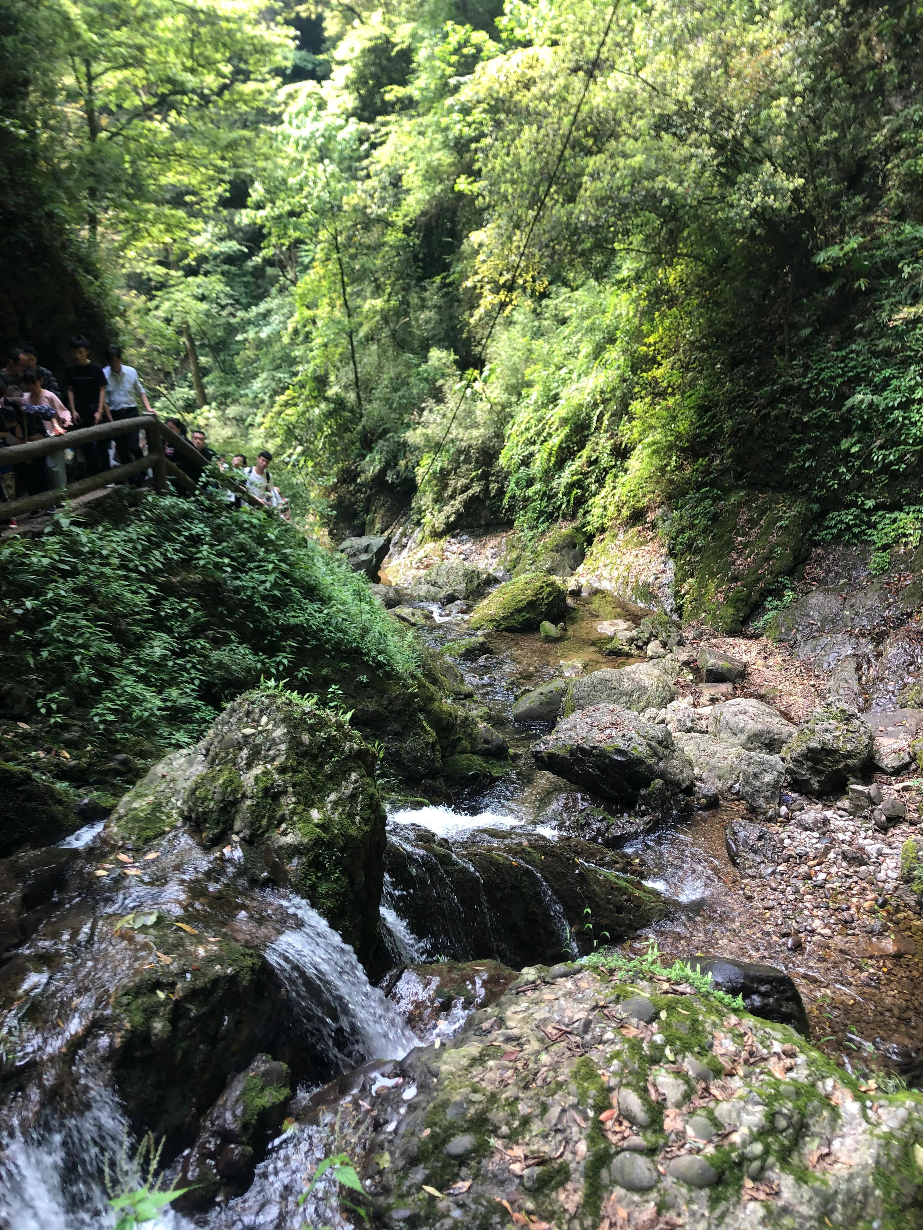 青城山后山一日游耍水攻略,青城山后山最值得去的地方