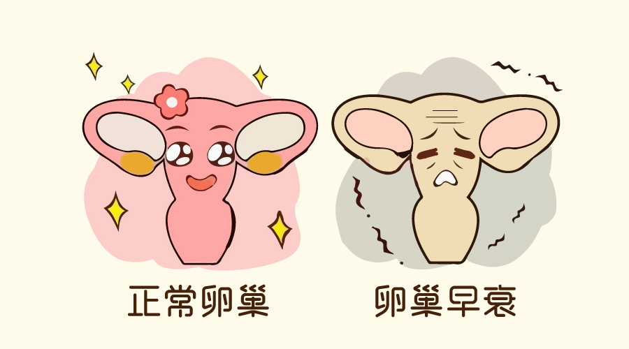 卵巢切除一侧排卵还正常吗,卵巢只有一侧排卵怎么回事