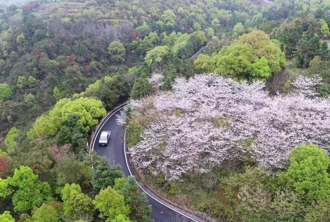 比厦门安静的地方,比厦门安静的海滨城市