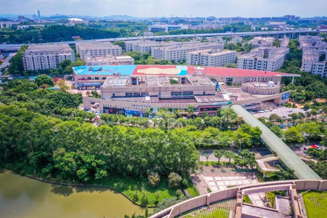 广州大学城占地最大的学校,广州大学城中山大学有多大