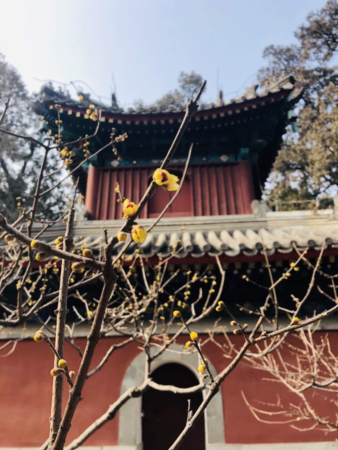 因疫情离开北京的年轻人：复工无期、失业在家、房租待交，每天像机器一样工作，终究败给现实