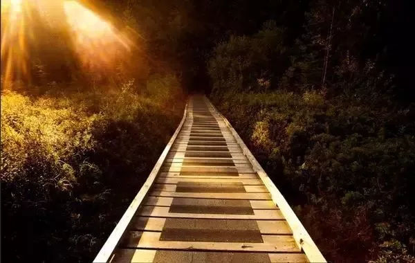 最有意境的照片关于钢琴,全球最美100张照片