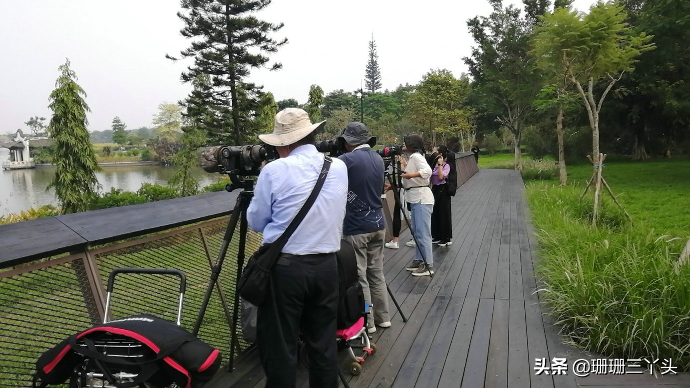 广州湿地公园推荐,广州龙潭河湿地公园