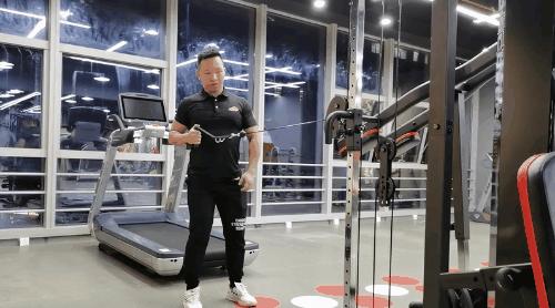 健身房健身器材训练全套,健身房肌肉训练器材视频