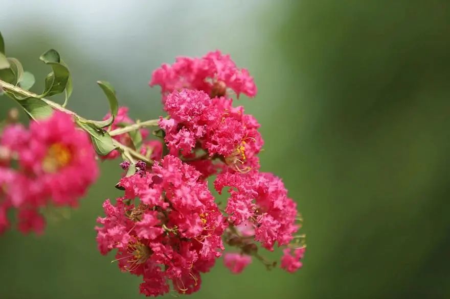 浜鸿秺鑰佽秺娌ф,鍥涘崄骞寸传钖囨爲