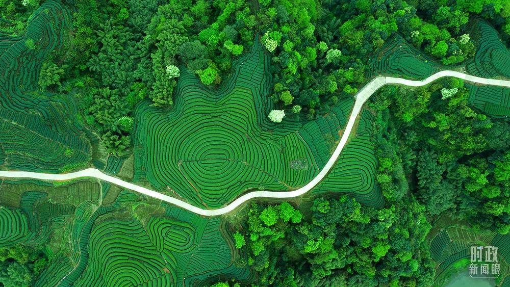 时政新闻眼丨今年出席系列多边峰会，习*平近**强调了哪些关键词