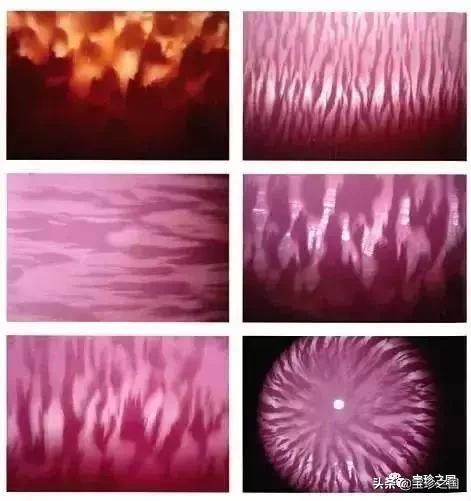 智识珍珠08|海螺珠：诞生于深海的火焰