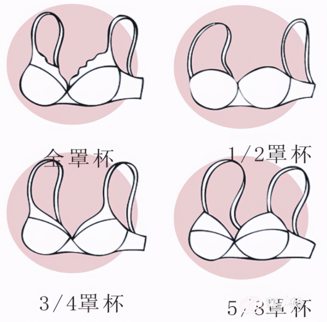 怎么挑选内衣舒服点,内衣怎么挑选合适的款式