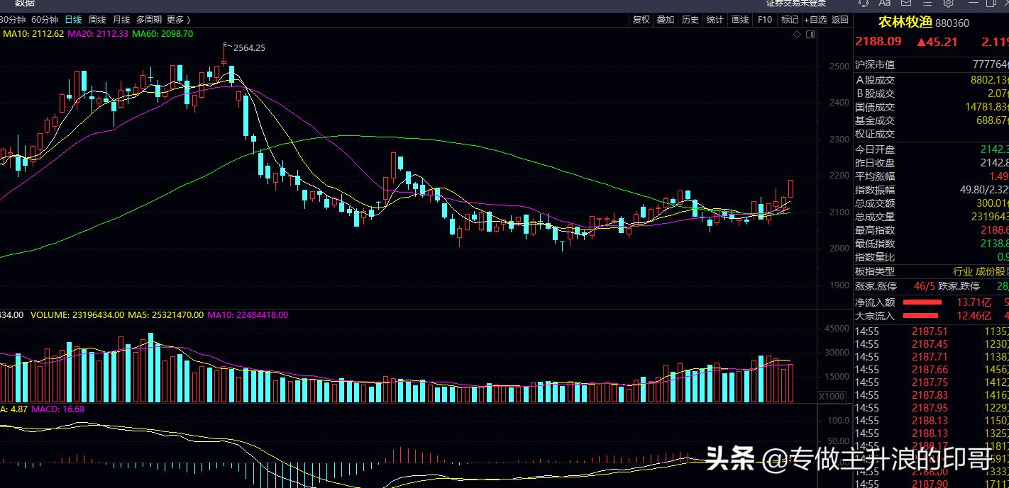 农林牧渔板块今日分析报告汇总,农林牧渔板块走强巨星农牧领涨