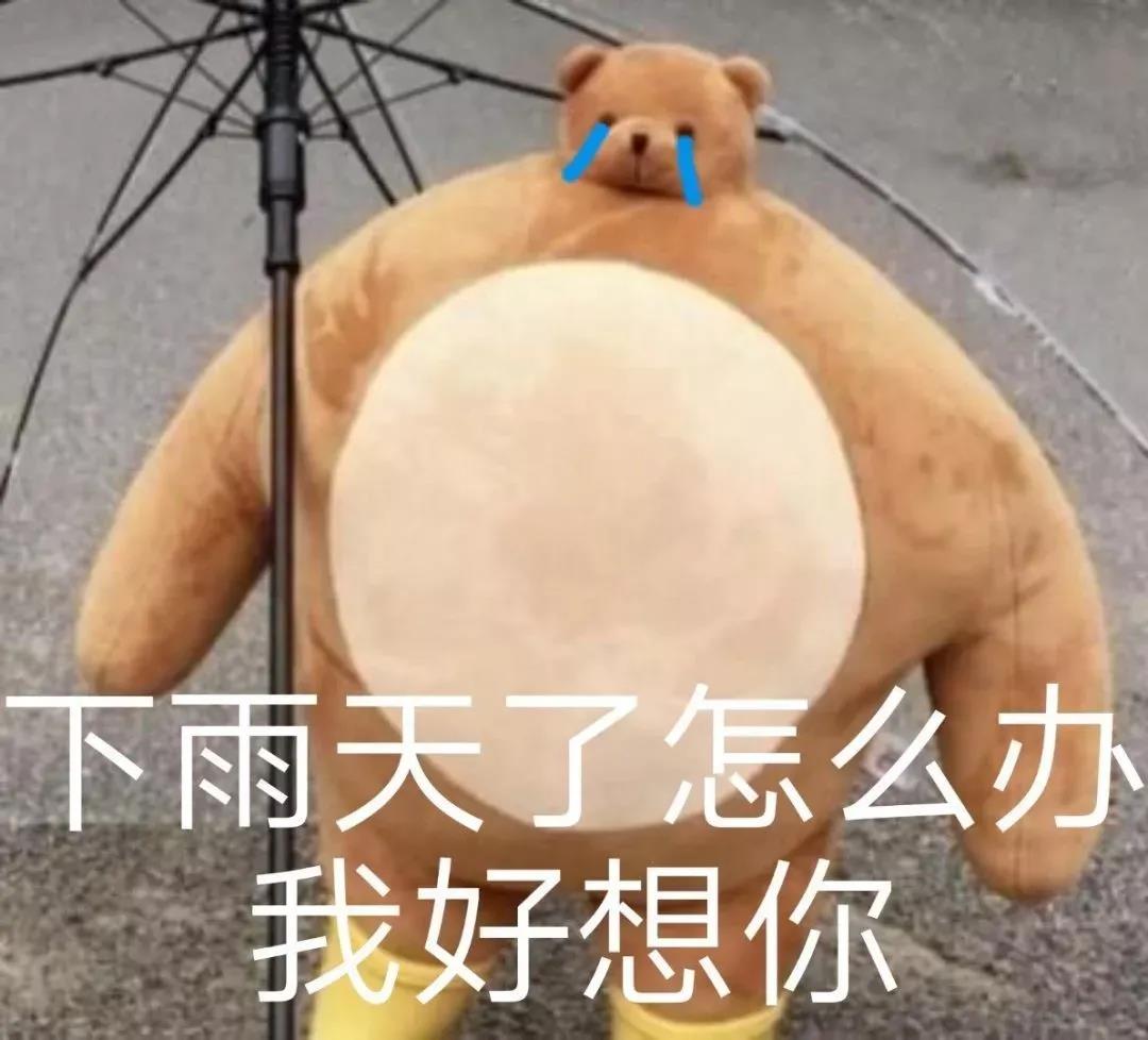 表情包下雨天,好想你怎么办表情包