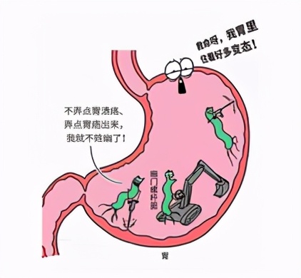 幽门螺杆菌治好后再次感染的几率,一人感染螺旋杆菌全家治疗