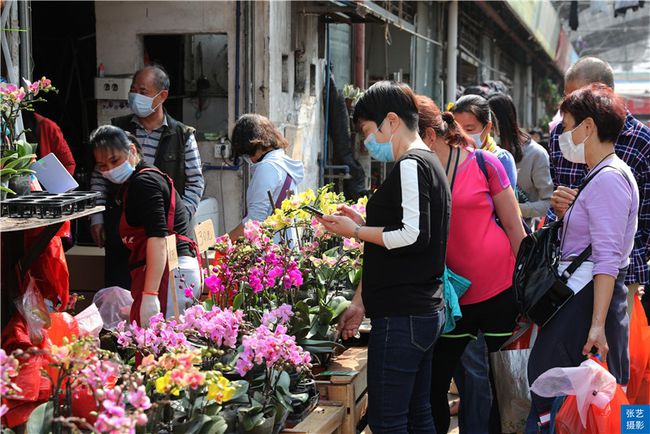 广州逛花市去哪里最好,广州岭南花卉市场人气旺似行花街