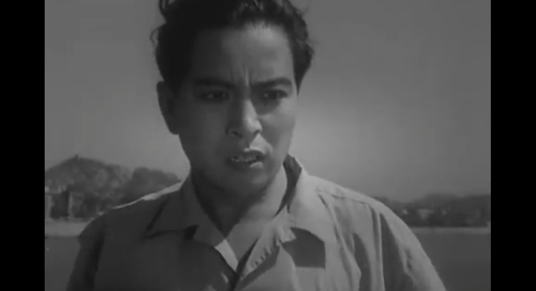 李铁军身高是多少,李铁军怎么火的