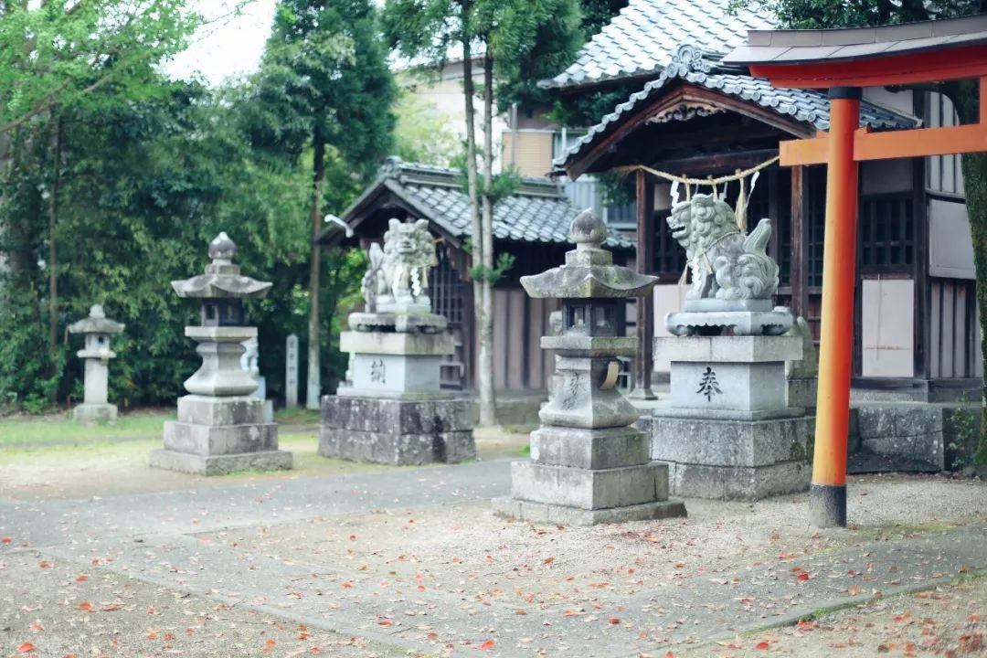 邮轮京都舞鹤港自由行,星梦邮轮三天二夜的之旅