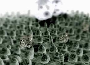 中国做伞最好的企业,中国制造的最好的伞