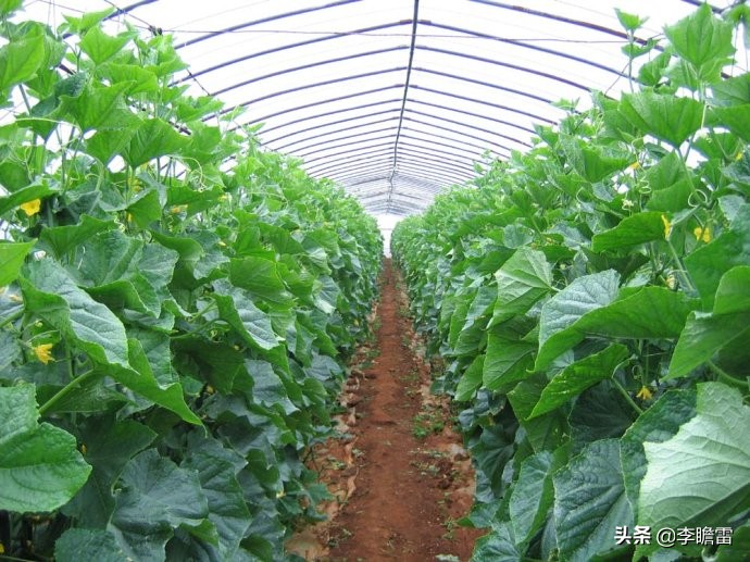 一个草根互联网创业样本,分享两个很有潜力的创业门路