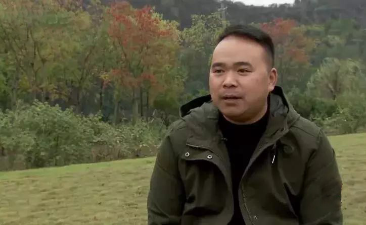 农村小伙养6000只鸡,养一万只黑鸡一年利润