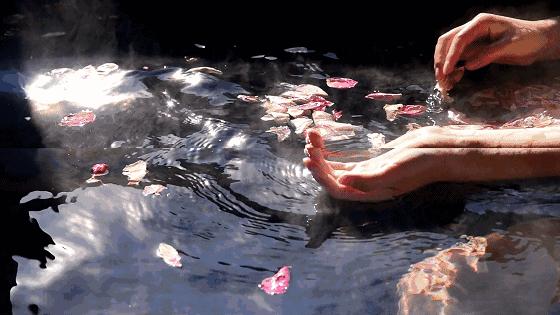 内江两日游,周末出去吃喝玩乐的地方内江